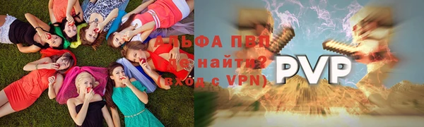 крисы Новокубанск