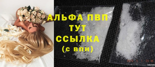 марки lsd Новозыбков