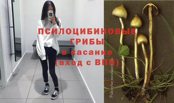 MESCALINE Няндома