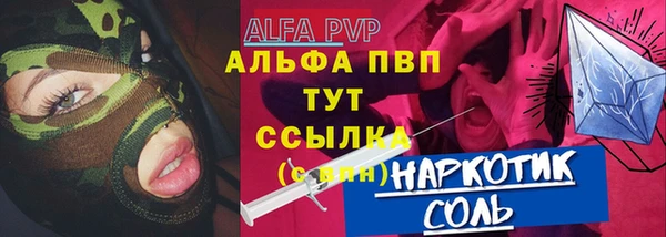 крисы Новокубанск